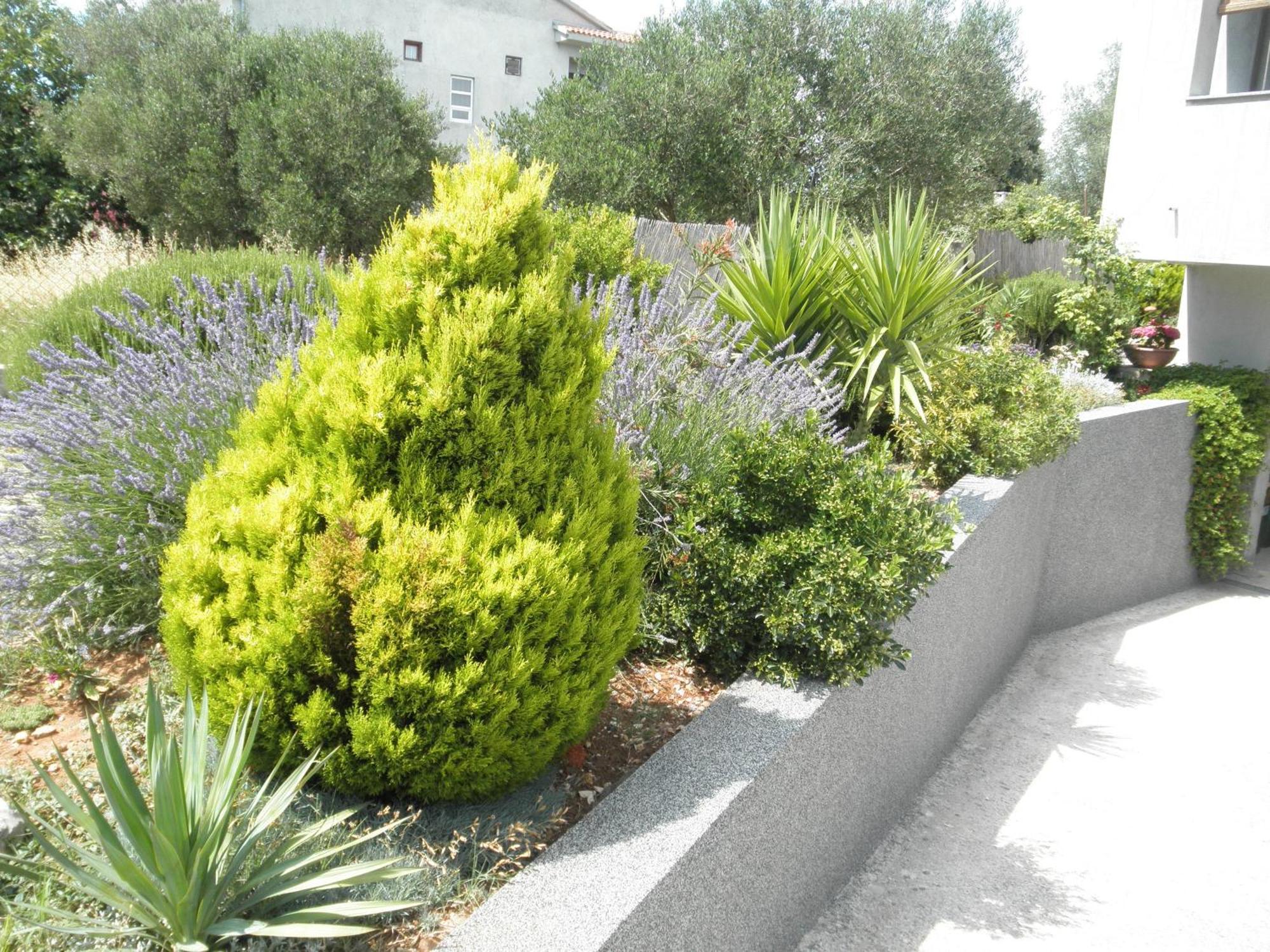 Apartments Dora Bibinje, 30 M From The Sea 部屋 写真